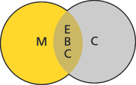EBC - Evidence Based Controlling